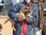 ADULTE ET CHIEN 535